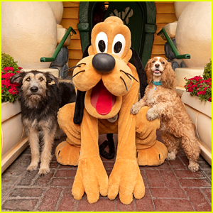 'Lady And The Tramp' Stars Monte & Rose Meet Pluto at Disneyland!
