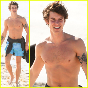 Shawn Mendes Soaks Up the Sun While Shirtless at the Beach!