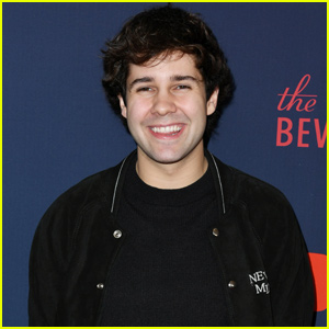 David Dobrik Reveals Who He'd Want to Take Over His Vlog Channel