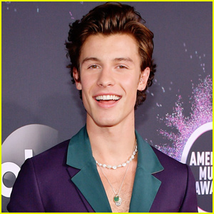 Shawn Mendes Has a Hilarious Response to Tripping During Concert in Brazil