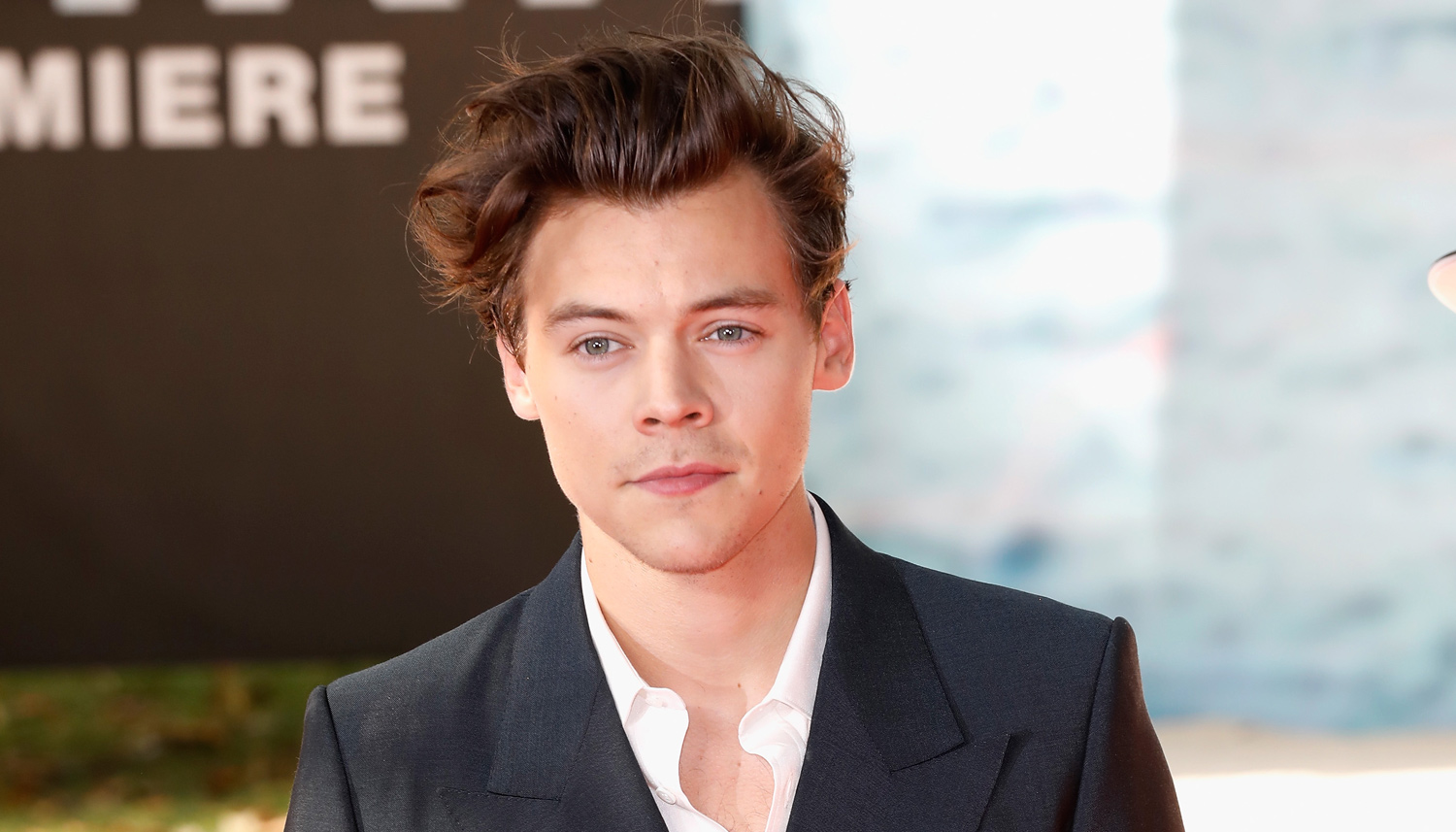 Harry Styles Offered to Watch Someone’s Dog So He Could Go Inside ...