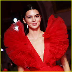 Kendall Jenner Was Verified on TikTok, But It Wasn't Really Her