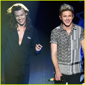 Here's What Niall Horan Had to Say About Harry Styles' Album