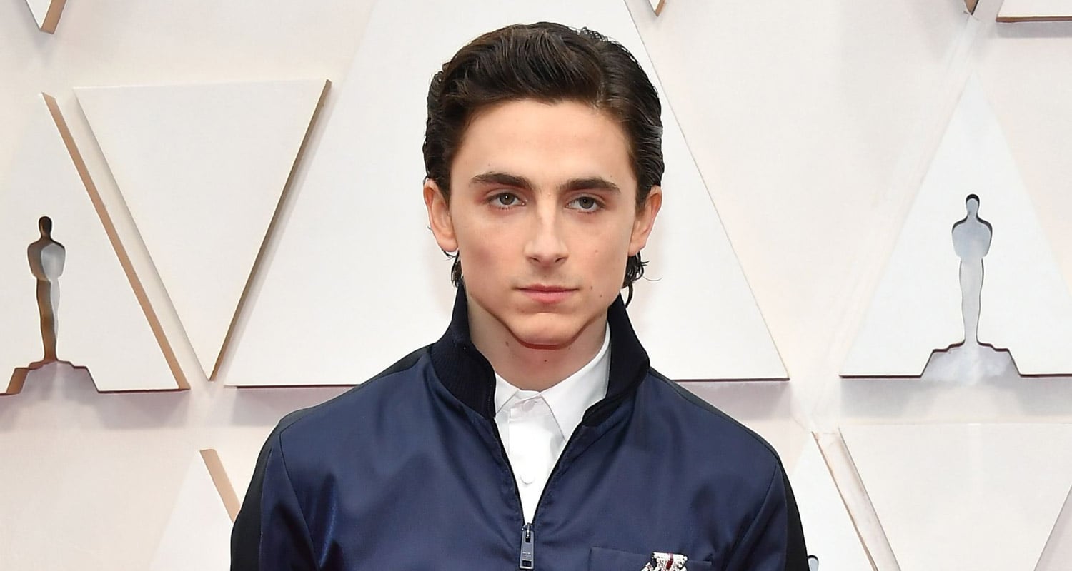 Timothee Chalamet Presents With Natalie Portman at Oscars 2020