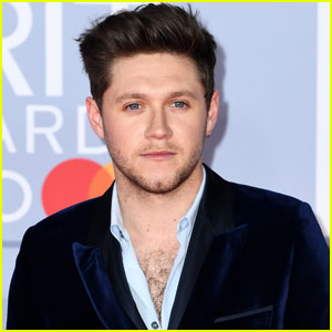 Niall Horan Expresses Disappointment About Album Promo Cancellations