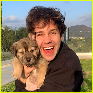 David Dobrik & Natalie Mariduena Foster a Puppy - See What They Named Her!