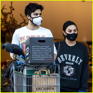 Demi Lovato & Boyfriend Max Ehrich Wear Masks While Grocery Shopping