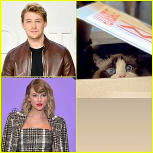Taylor Swift's Boyfriend Joe Alwyn Shares Cute New Pics of Her Cat, Benjamin Button