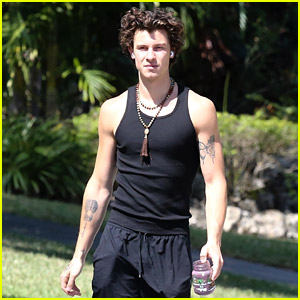 Shawn Mendes Rocks Out to Tunes on His Solo Walk