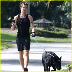 Shawn Mendes Goes for a Friday Morning Walk with Thunder