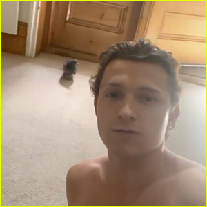 'Spies In Disguise' Came to Life When a Pigeon Flew Into Tom Holland's House!