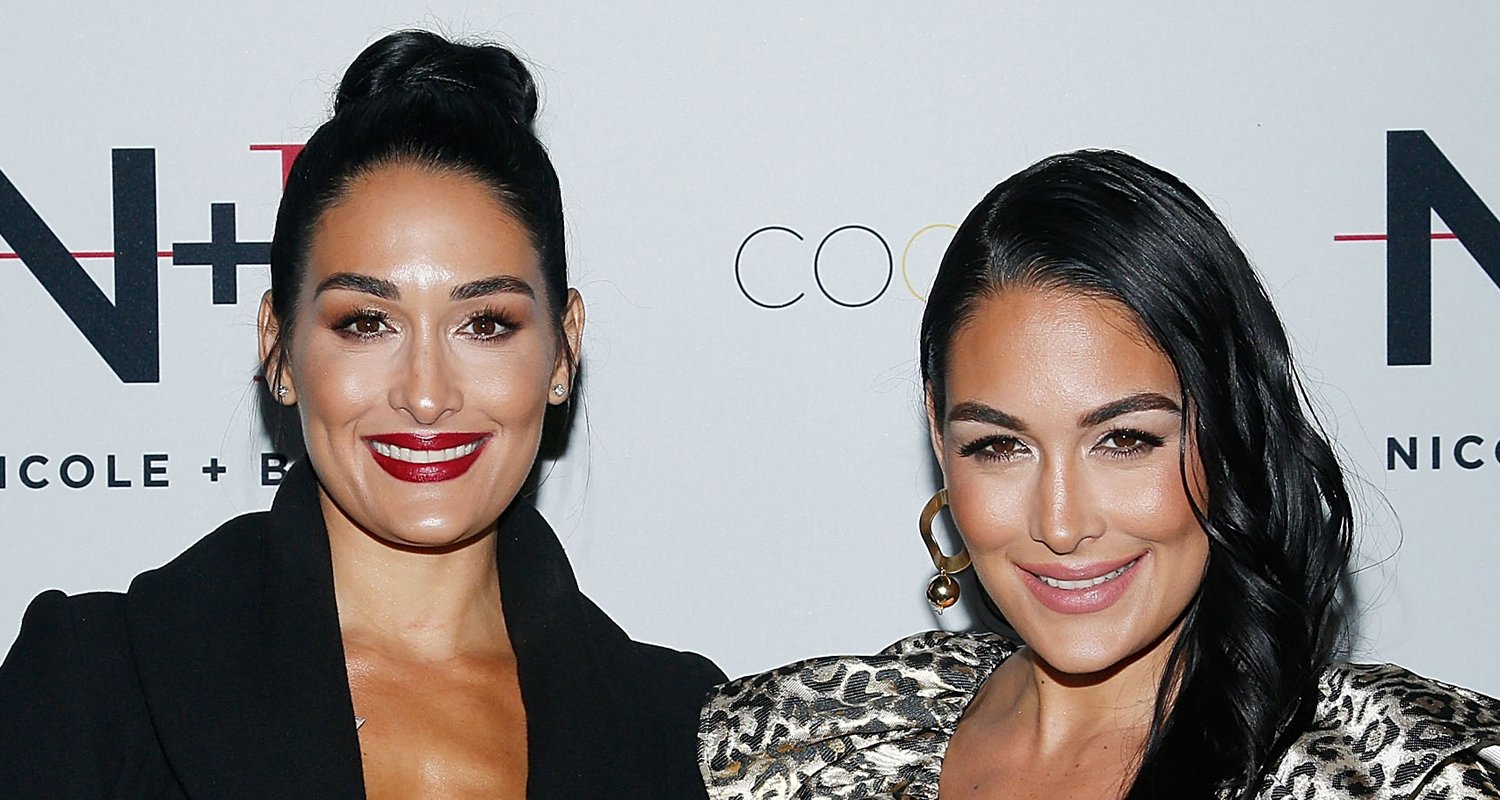 Nikki & Brie Bella Reveal Their Newborn Babies’ Names & Share First ...