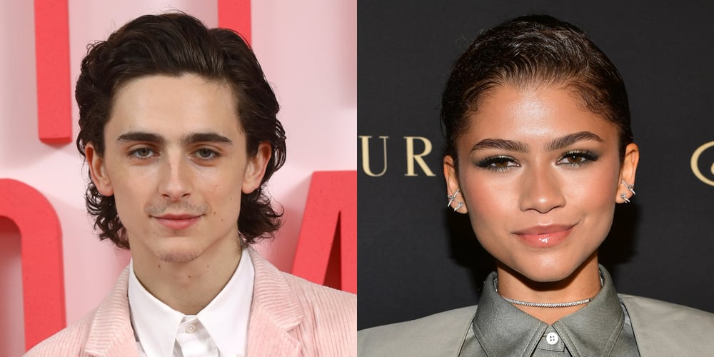 Timothee Chalamet Makes Zendaya Tear Up With Sweet Birthday Post ...