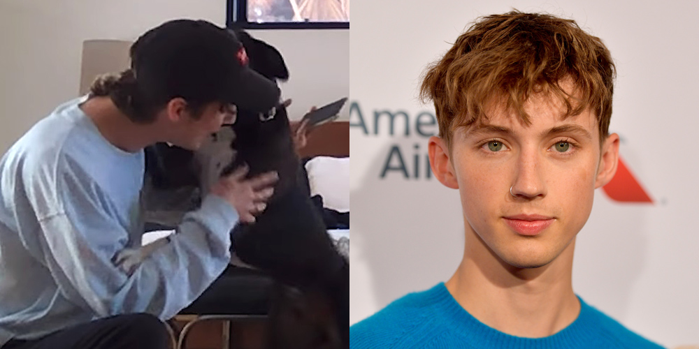 Troye Sivan Reunites With His Dog After 7 Months Apart Watch Now(00)