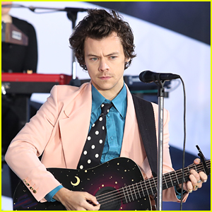Harry Styles Might Not Be Hitting The Stage For a Very Long Time ...