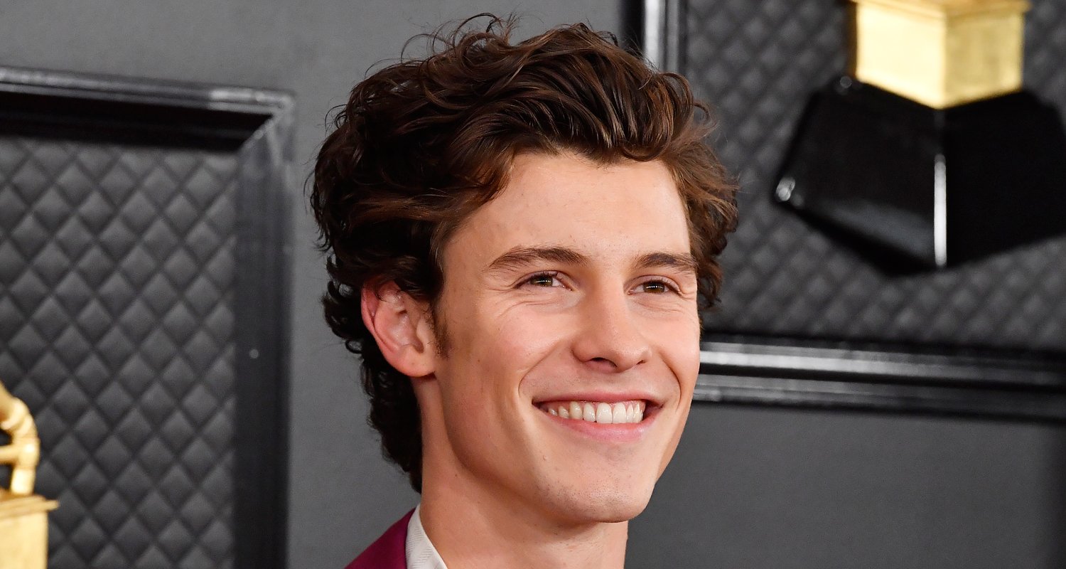 Shawn Mendes’ Whole New Album ‘Wonder’ Is About Camila Cabello | Camila ...