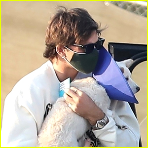 Jacob Elordi Picks Up Kaia Gerber's Pup From The Vet