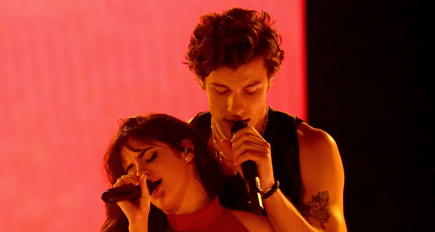 Camila Cabello & Shawn Mendes Become Dog Parents To Adorable New Puppy ...