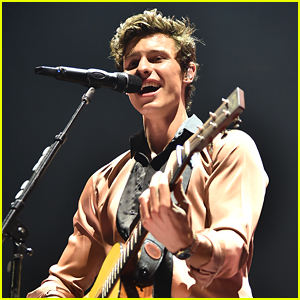 Shawn Mendes Announces Concert Film 'Live In Concert' For Netflix!