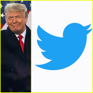 Celebs React To Twitter 'Permanently Suspending' Donald Trump's Account