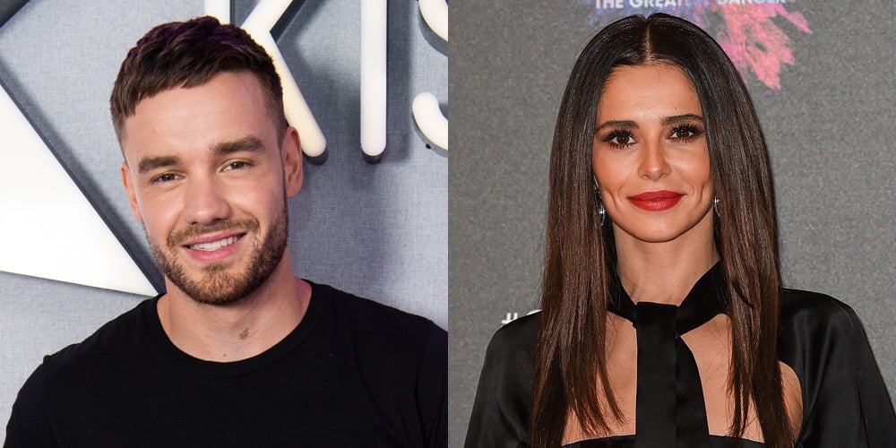 Liam Payne Gets Tested for COVID-19 Before Every Visit with His Son