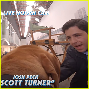 Disney+ Reveals First Look at Josh Peck's Upcoming Series 'Turner & Hooch'