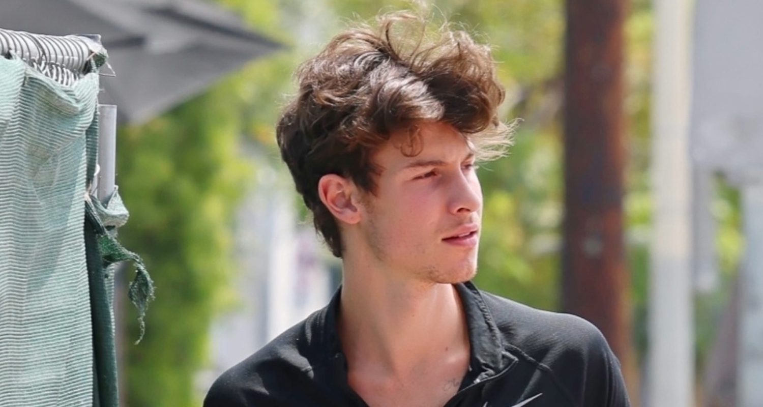 Shawn Mendes Shares Shirtless Video After Morning Workout Shawn