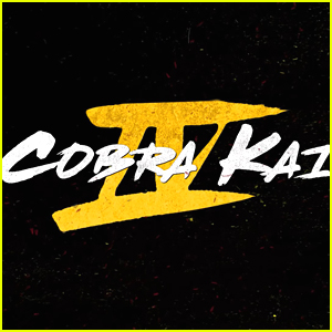 Netflix Reveals New 'Cobra Kai' Teaser, Announces December Release
