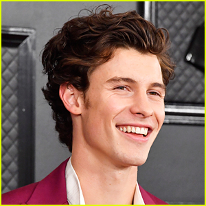 Shawn Mendes Reveals 'Summer of Love' Release Date, Features Tainy