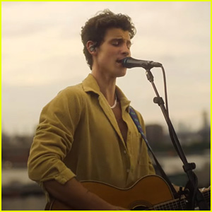 Shawn Mendes Debuts Stripped Down 'Summer of Love' Acoustic Video - Watch!