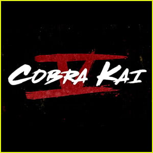 'Cobra Kai' Season 5 Gets Release Date & First Teaser Trailer - Watch Now!