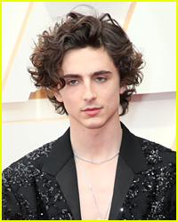 Timothee Chalamet's Upcoming West End Debut Has Been Canceled