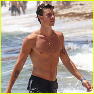 Shawn Mendes Spotted at the Beach in Miami - See the New Shirtless Photos!