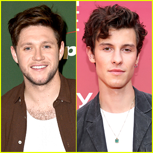 Niall Horan Reveals Why He & Shawn Mendes Haven't Released a Collab