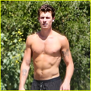 Shawn Mendes Shows Off His Super-Toned Six-Pack During Shirtless Hike Amid Camila Cabello Reunion Rumors