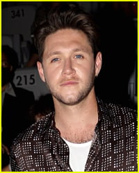 Niall Horan Reacts to Harry Styles' Recent One Direction Reunion Comments