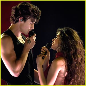 Shawn Mendes Reportedly Needs 'Time to Himself' Following Camila Cabello Reunion
