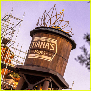 Tiana's Foods Water Tower Goes Up at Walt Disney World Overnight As Tiana's Bayou Adventure Construction Continues