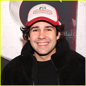 David Dobrik Hints at Possibility of Reality Show Focused Around This